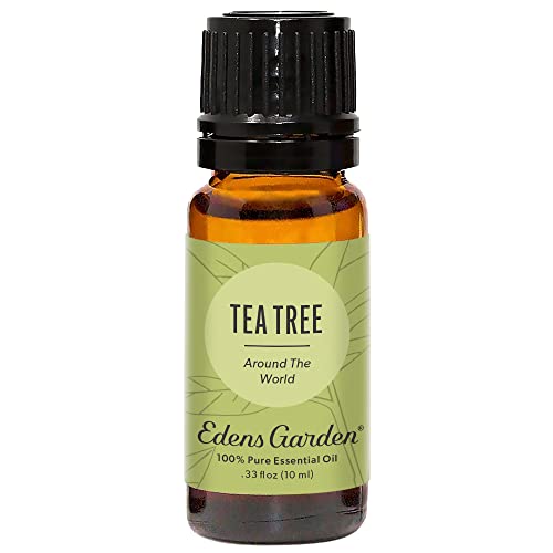 Edens Garden Tea Tree "Around The World" Essential Oil, 100% Pure Therapeutic Grade (Undiluted Natural/ Homeopathic Aromatherapy Scented Essential Oil Singles) (0.33 Fl Oz (Pack of 1))