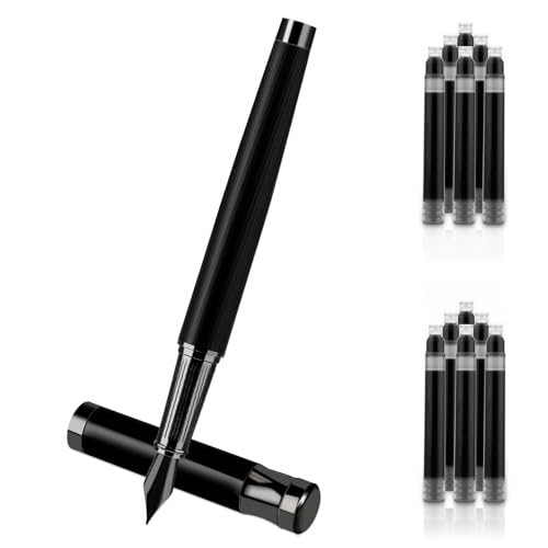 Amaxiu Conjunto de canetas-tinteiro de luxo, caneta-tinteiro de metal de ponta fina de 0,5 mm com co