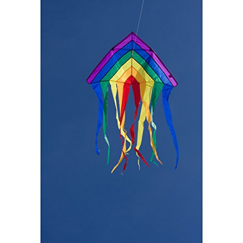 Invento 106230 Delta Rainbow Kite, 200 cm x 134