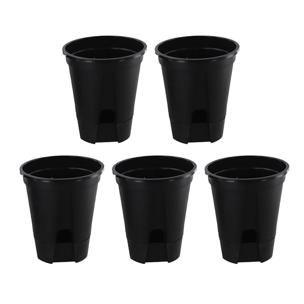 Pots de fleurs transparents pour rebord de fenêtre et bureau lumineux