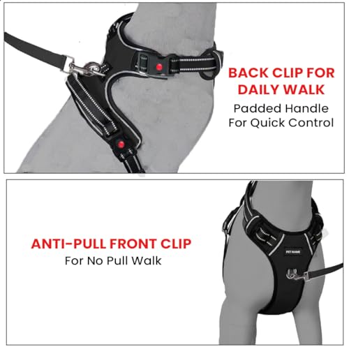 Image of No Pull Dog Chest Belt Harness, Comfortable & Adjustable Size for 5-13 Kg Pet (Black, Small)