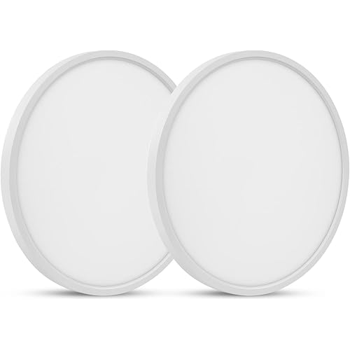 ocioc 18W Flush Mount Ceiling Lights Fixture 8.9 inch 6500K Daylight White Ultra-Thin Round LED Lighting lamp for Hallway Kitchen Bedroom Bedroom Closet Laundry Indoor Outdoor 2 Pack