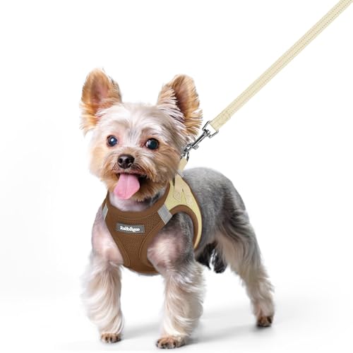Image of rabbitgoo Dog Harness Small Sized and Leash Set, Step-in Puppy Pet Vest