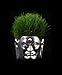 Produktbild m The Salon of The Tiny Buddha - Angry Buddha Silver : Set of 9 pcs.- Flower & Grass Planters (Stands, Pottery, Pot, Container) [Standard Ship by EMS with Tracking & Insurance]