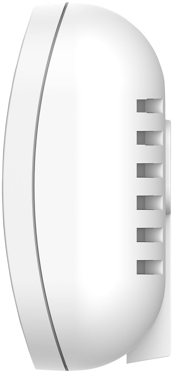 VisorTech CO Melder WLAN: 2er-Set WLAN-Kohlenmonoxid-Melder, LCD-Display, 10-Jahres-Sensor, App (Kohlenmonoxidwarnmelder, Kohlenmonoxid Camping, iPad)