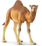 SCHLEICH Wild Life Realistic Dromedary Camel Figurine - Authentic and Highly Detailed Wild Animal Toy, Durable for Education and Fun Play, Perfect for Boys and Girls, Ages 3+, Multicolor, 3.9 inch