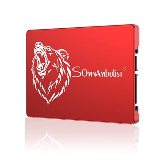 Somnambulist SSD 60 Go 120 Go 240 Go 480 Go 960 Go 2 to Disque Dur Interne SSD (Ours Rouge 60GB)