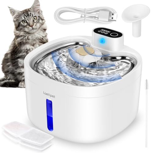 Which Is The Best Cat Fountains Reviews In 2024 Glory Cycles