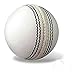 Kalindri Sports Leather Cricket Ball for Competition Practice (White, Pack of 6)