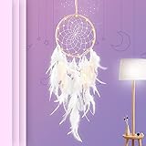 dreamcatcher film wiki Exquisites Design: Böhmischer Stil, sorgfältig ausgewählte hochwertige Federn und Quasten, einzigartiger Stil, ist die perfekte Dekoration.
