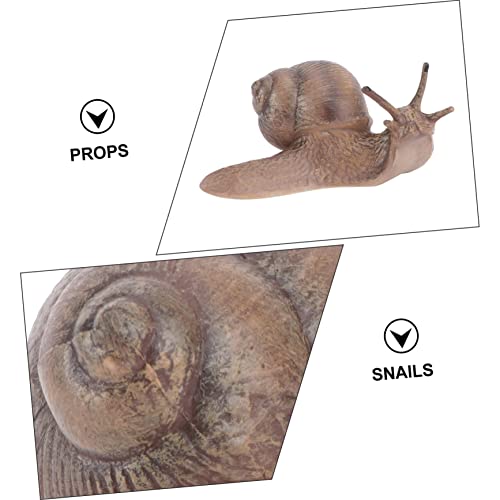 FOMIYES 2 Peças Caracol Micro Paisagem Brinquedos Infantis Artesanato De Caracol Brinquedo De Caraco