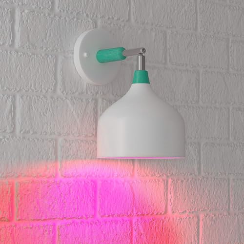 Image of Amazon Basics A19 Red Color Party LED Light Bulbs, 60W Equivalent, 9W Energy Efficient, E26 Standard Base, Non-Dimmable, 10,000 Hour Lifetime, 2-Pack