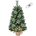 3FT Pre-lit Artificial Small Mini Christmas Tree with Warm White Multi-Color LED Lights, Remote Control and Timer, Perfect for Xmas Tabletop Decorations, Home, Kitchen, Dining Table top Green