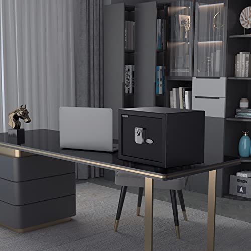 WASJOYE 25L Fingerabdruck Tresor Safe, Zahlenschloss, Biometrischer Möbeltresore, mit 2 Schlüssel, für Zuhause Büro Hotel Geld Dokument Schmuck Reisepass Lagerung(25 * 35 * 25cm)