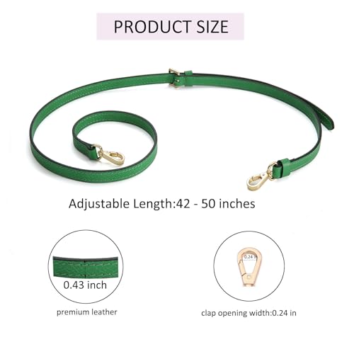 Image of Crossbody Strap Compatible for Longchamp LP Xtra XS Pouch, Conversion Kit,GOLD Hardware