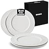 MIAMIO 11 Inch Set of 4 Dinner PlatesCeramic Plate Set Crockery Set Modern Plates Microwave and Dishwasher Safe Oasis Collection