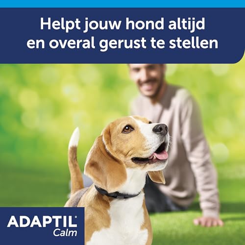 Adaptil Calm Halsband - Größe S - Anti-Stress-Halsband Hund