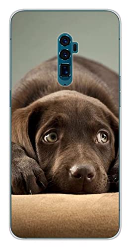 Silikon-Schutzhülle für Oppo 10 x Zoom, Welpe, Braun