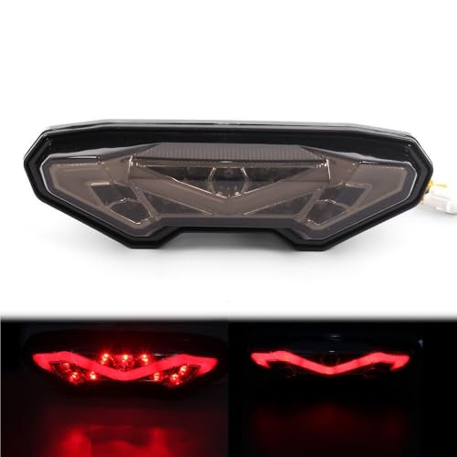 Feu de frein arrière intégré avec clignotants LED pour MT09