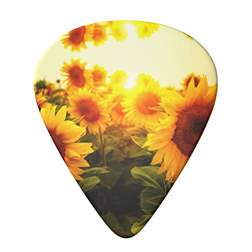 Sunflower Lot de 6 médiators pour guitare acoustique, guitare électrique, basse, ukulélé – fins, moyens et épais. - Les Beatles, Paul McCartney, John Lennon, RIngo Starr, George Harrison Sunflower Lot de 6 médiators pour guitare acoustique, guitare électrique, basse, ukulélé – fins, moyens et épais. – Image 4