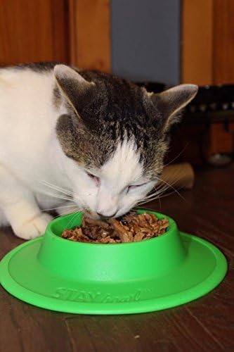 Miniatura 7 de Tazón de comida y agua para mascotas para gatos, perros de raza de juguete, dragones barbudos, tortugas y mascotas pequeñas (34 taza en cuatro