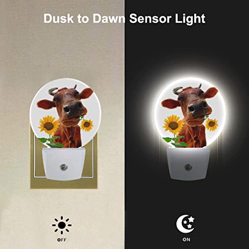 Image of EKOBLA Cattle Night Light, Cute Farm Cow and Sunflower Night Lights Plug Into Wall with Dusk to Dawn Auto Sensor for Home Indoor Decor