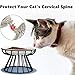 Raised Ceramic Cat Feeder Bowl Stand, Anti Vomiting Shallow Dish with Non-Slip Mat for Food & Water, Ideal for All Cats (Black)