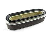 Honda 17210-Z1V-003 Air Filter