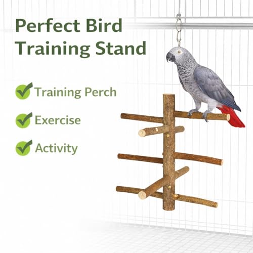 Image of KSK Natural Wooden Parrot Stand & Bird Perch - Tree Style Bird Perch for Cage & Table Top | Strong Natural Wood Training Perch for Parrots, Cockatiels, Conures, African Grey, Budgies & Medium Birds