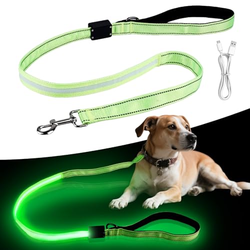 Behogan LED Hundeleine, 1.2M Wasserdicht Nylon LED Hundeleine, USB Wiederaufladbar Lichtfunktion Hundeleine Reflektierend, Clip Lampe für Nächtliche Spaziergänge (Grün)