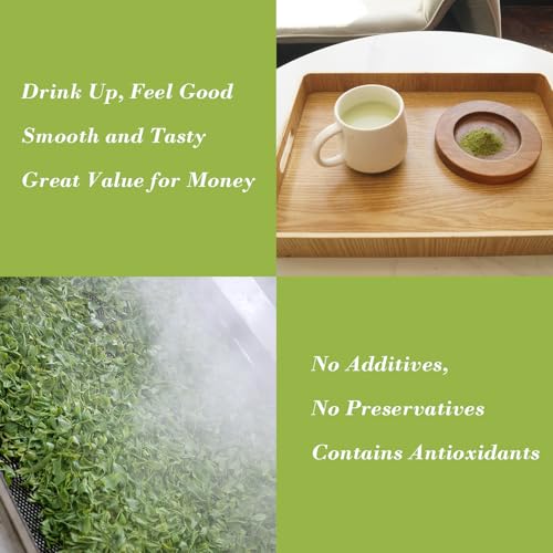 Té verde en polvo matcha 30 g miniatura 7