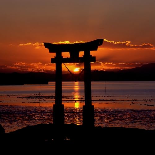 Niigata, Harper Rems & Mindful Changes