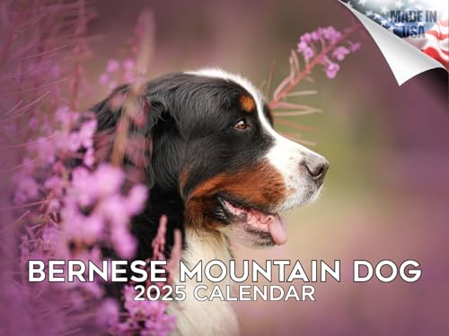 20242025bernesemountaindogcalendardogbreedmonthlywallcalendar12x18openthicknobleedpapergiftableacademicteachersplannercalendarorganizingplanningmadeinusa  Urban Country Home Decor 2024 2025 bernese mountain dog calendar dog breed monthly wall calendar 12 x 18 open thick no bleed paper giftable academic teachers planner calendar organizing planning made in usa  urban country home decor