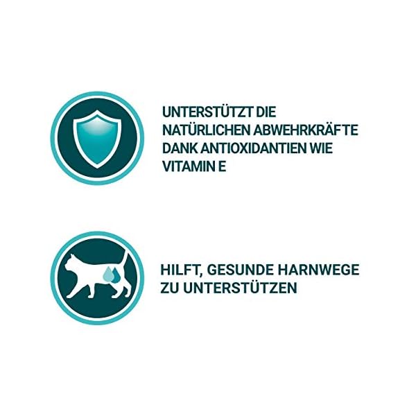 PURINA ONE Katzennassfutter, hochwertige Katzennahrung, reich an Vitaminen und Mineralstoffen, 24er Pack (24 x 85 g Beutel) – Bild 10