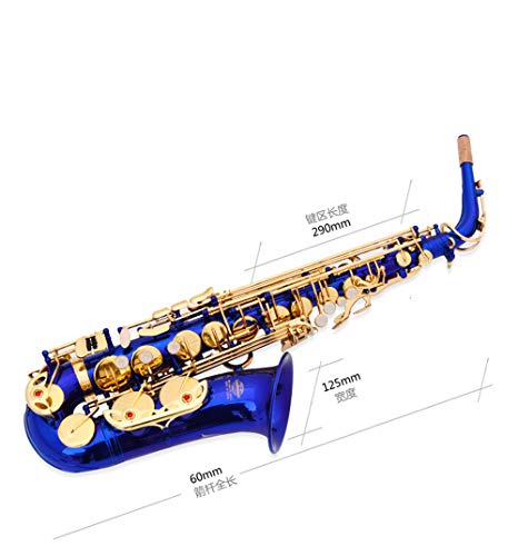 Lantao Blue E Flat Professional Alto Saxophone Sax #TOP2