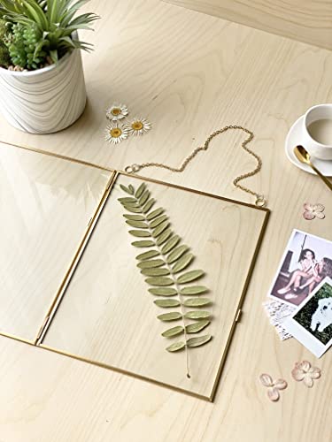 Double Glass Frame for Pressed Flowers, Leaf and Artwork - Set of 2 Hanging Picture Frames, Tempered Glass Floating Pressed Flower Frames, Large Rectangular Wall Decor Photo Display, Clear Metal Glass Frames with Chain (8x10, Gold)