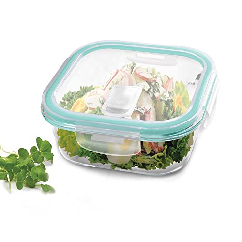 Treo by Milton Clip Fresh Borosilicate Glass Square Container wit...