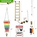 Chicken Coop Accessories, 6 pack Chicken Toys – with Chicken Xylophone Toy, Chicken Swing, Vegetable Hanging Chicken Feeder, Chicken Pecking Toy, and Beautiful Decorative Sign (Chicken Peckers)