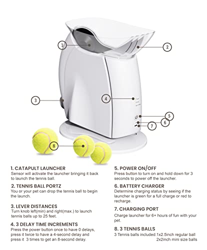 Interactive Ball Thrower for Dogs