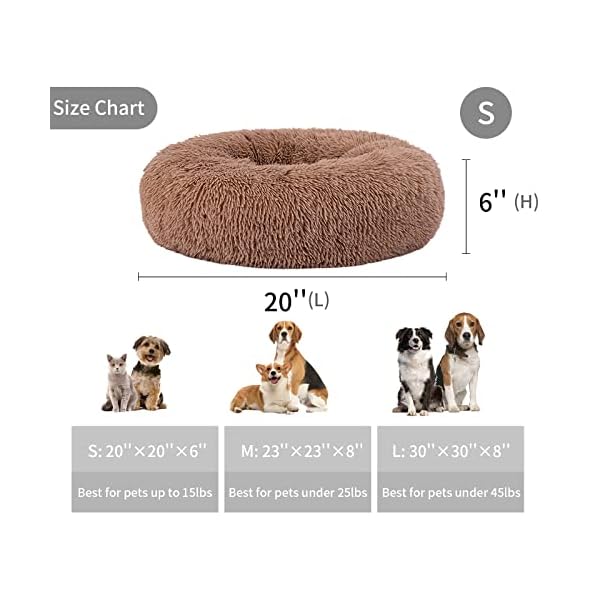 Anti Anxiety Dog Beds & Cat Beds | Reduce Pet Stress & Anxiety - [Brand Name]