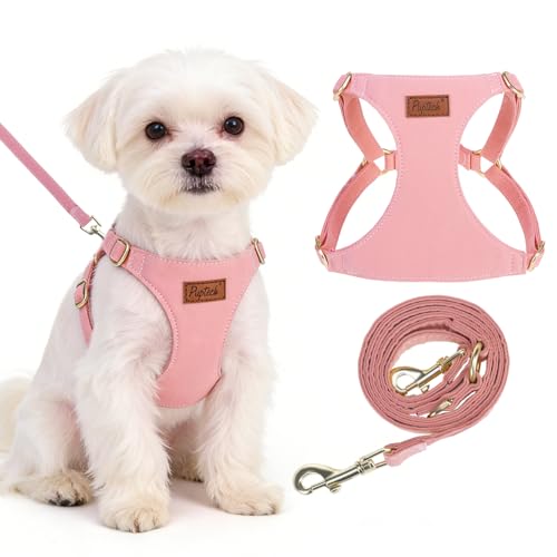 PUPTECK Dog Harness and Leash Set Small Sized, Lightweight Step-in Puppy Harness, Escape Proof No Pull Cute Pet Vest Harnesses, Pink XS