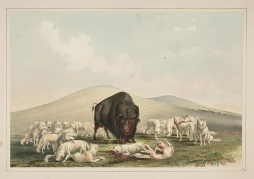 Tableaux peinture sur toile de loups blancs pour sublimer une chambre à coucher