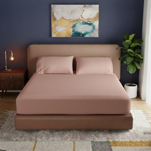 Image of 400TC 100% Egyptian Cotton Queen Fitted Bedsheet (60 x 78 inch) | All-Round Elastic | Fits Upto 12 inch Mattress | Soft & Durable | with 2 Pillow Covers | Cameo Rose Solid Bedsheet Set