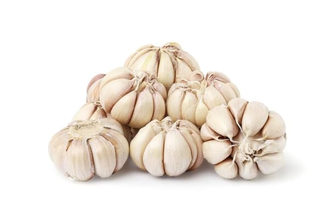 AYWAL garlic bulbs for planting, lasun bulbs for gardening (Pack Of 30 Bulbs) L87 (B0CSXH81BZ) Amazon Price History, Amazon Price Tracker