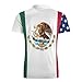 U.S. Canada Mexico Flags Men's Short Sleeve Polo Shirt Casual Athletic Collared Golf Tee Tops 5XL