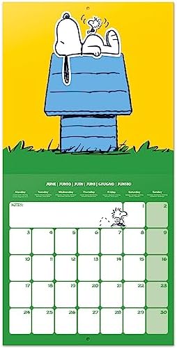 Grupo Erik Snoopy Wall Calendar 2024 12" x 12" | 12 Month Planner | Square Wall Calendar 2024 | Family Planner Calendar 2024 | Snoopy Calendar 2024 | + Free Poster