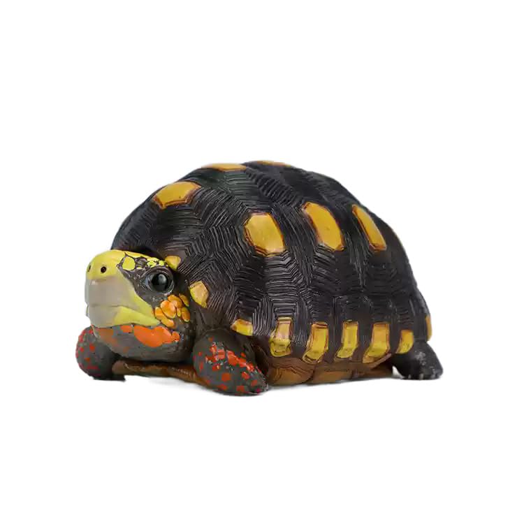 Amazon.co.jp: 【動物の惑星】アカアシガメ フィギュア完成品