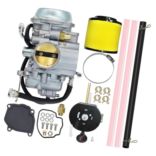 Carburateur Suzuki LT-F500F 1998 1999 2000 2001 2002 Quadrunner 500
