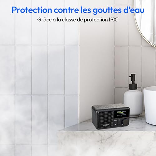 MEDION S66822 Radio Portable Mini Dab+ avec Bluetooth (Batterie Rechargeable, écran Couleur à intensité Variable, antenne télescopique, minuterie de Mise en Veille, réveil, AUX, USB-C) Noir