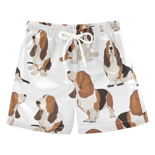 susiyo Boys Swim Trunks Basset Hound Dogs Toddler Swim Shorts Quick Dry Beach Board Shorts Little Boy Bathing Suits Swimwear